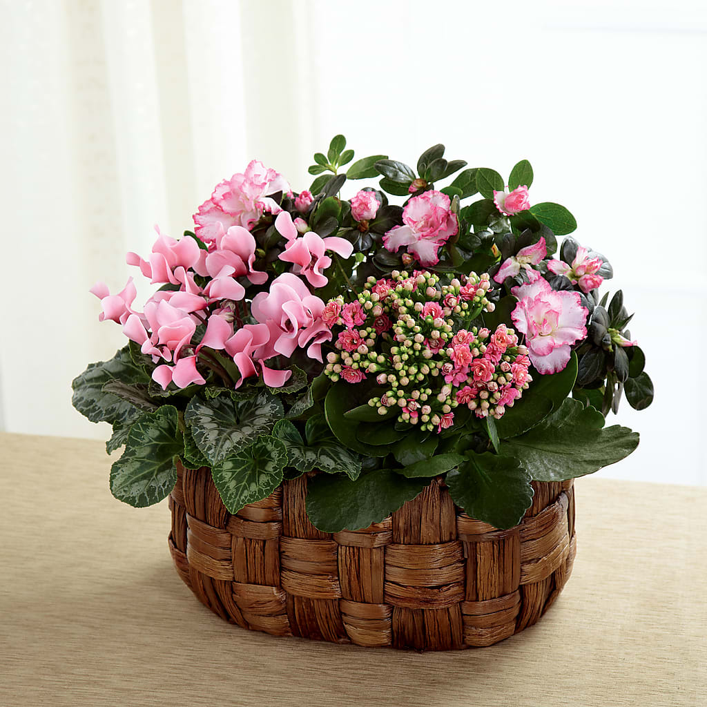 Pink Assortment – Charming Petals, Dracut MA
