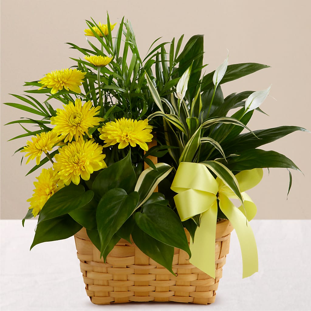 Loving Light Dishgarden – Charming Petals, Dracut MA