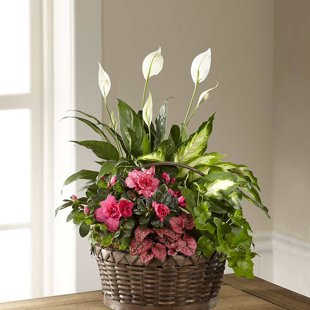 Dream in Pink Dishgarden – Charming Petals, Dracut MA