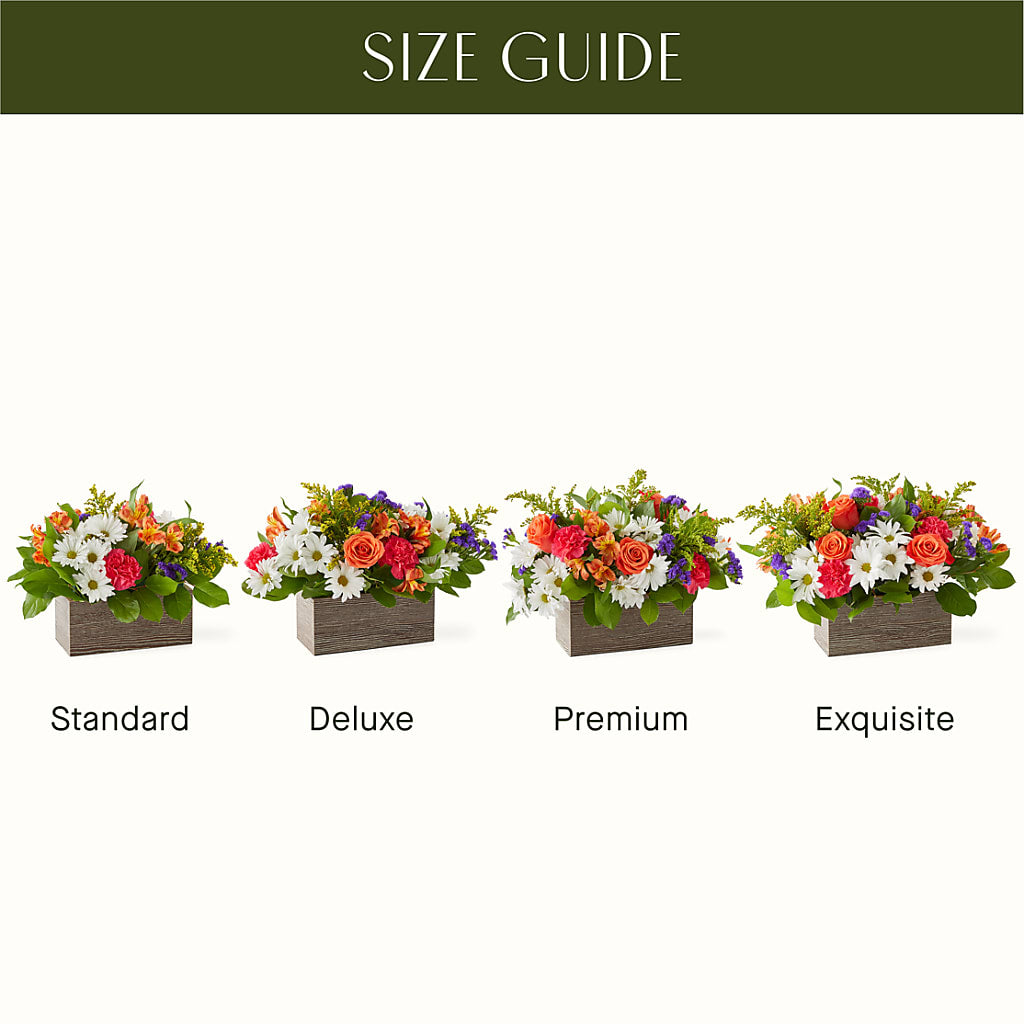 Oopsie Daisy Box Bouquet – Charming Petals, Dracut MA