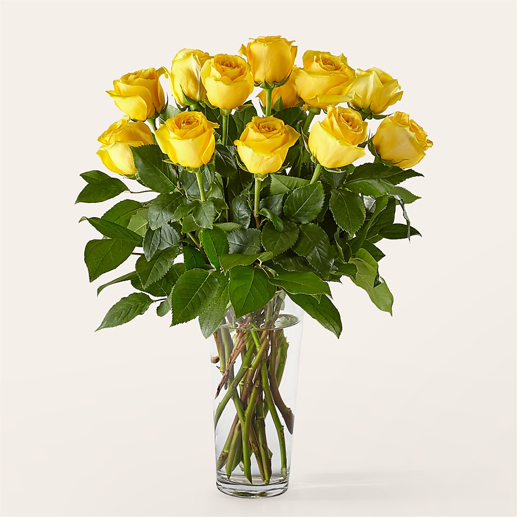 Long Stem Yellow Rose Bouquet – Charming Petals, Dracut MA