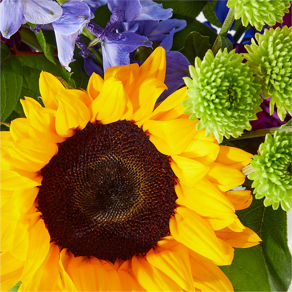 Catching Rays Bouquet – Charming Petals, Dracut MA