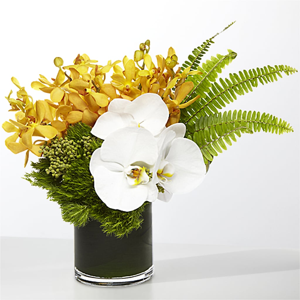 The Tropics – Charming Petals, Dracut MA