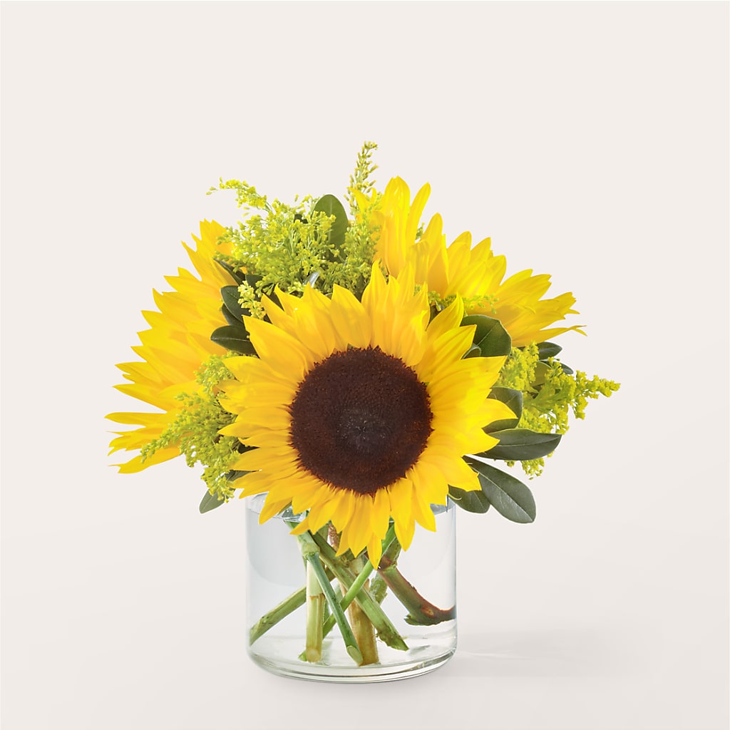Beaming Sunflower Bouquet – Charming Petals, Dracut MA