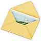 Greeting Card – Charming Petals, Dracut MA