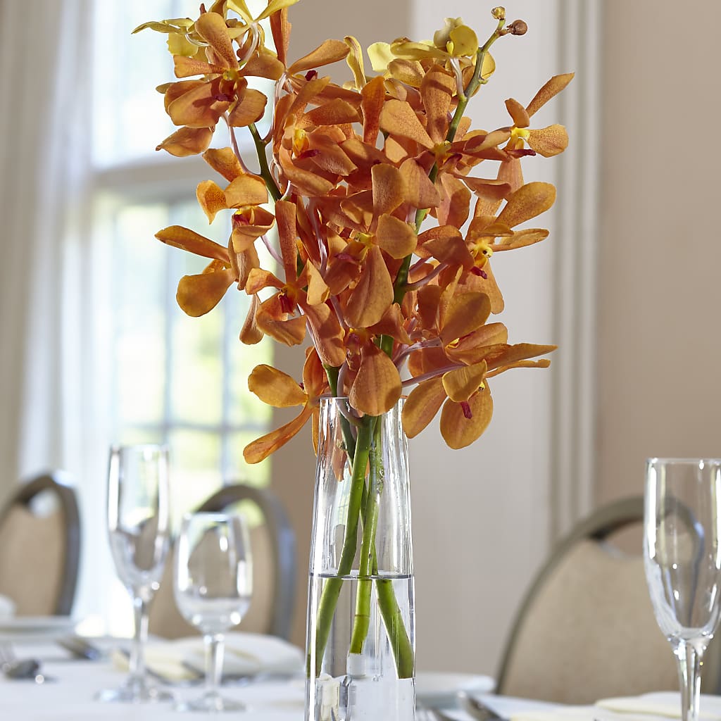 Orange Mokara Bud Vase – Charming Petals, Dracut MA