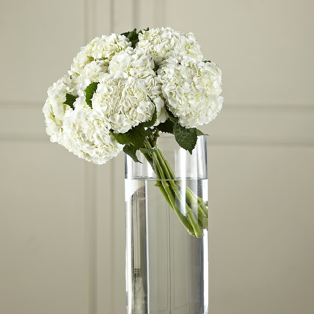 White Hydrangea Hand-Tied Bouquet – Charming Petals, Dracut MA
