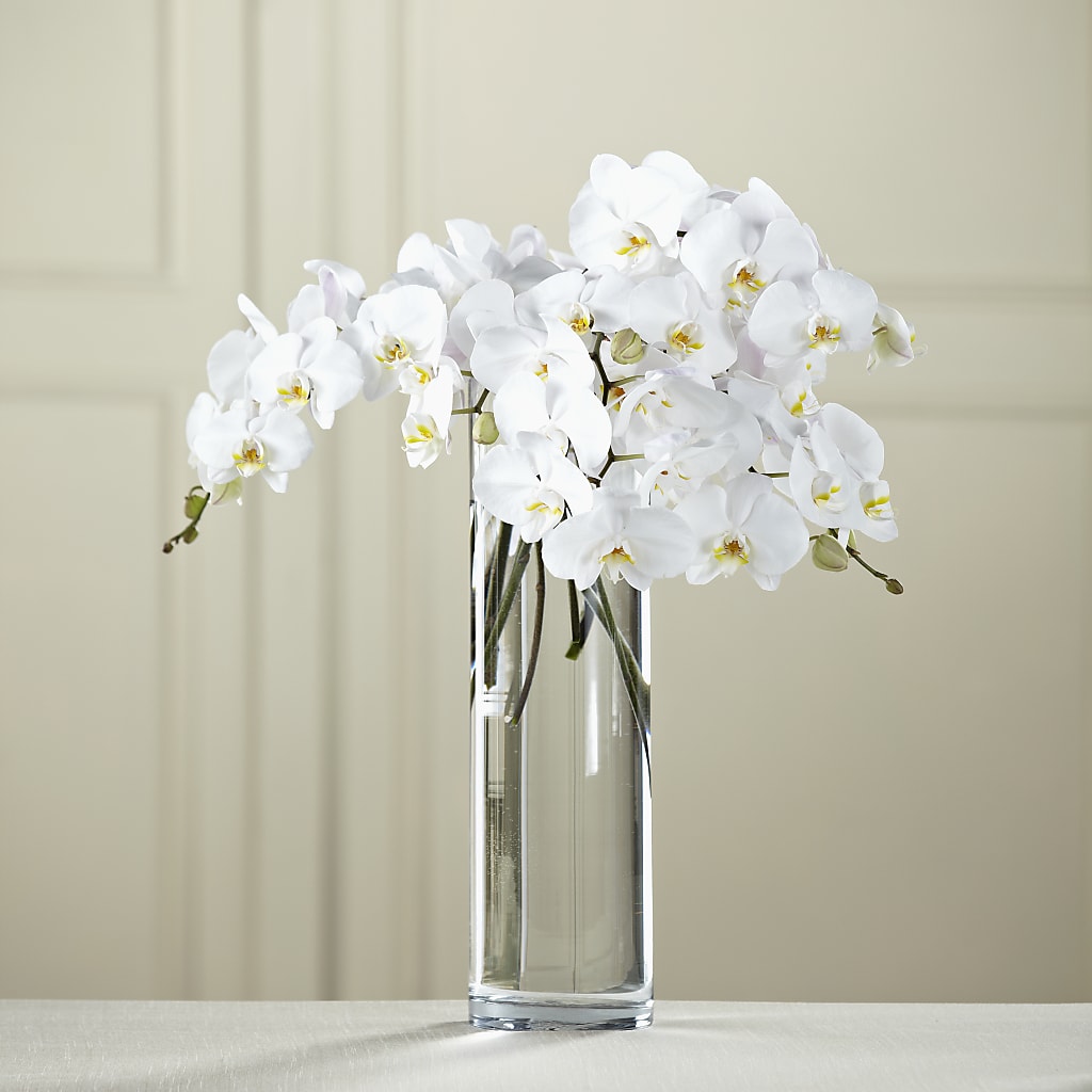 White Phalaenopsis Bouquet – Charming Petals, Dracut MA