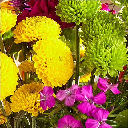Bold & Bright – A Florist Original –  Charming Petals, Dracut MA