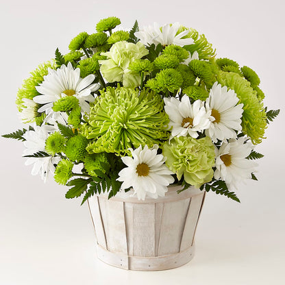 Lucky Charm Basket (Standard) –  Charming Petals, Dracut MA