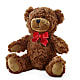 Adorable Plush Bear –  Charming Petals, Dracut MA