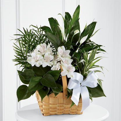 Peace & Serenity Dishgarden –  Charming Petals, Dracut MA