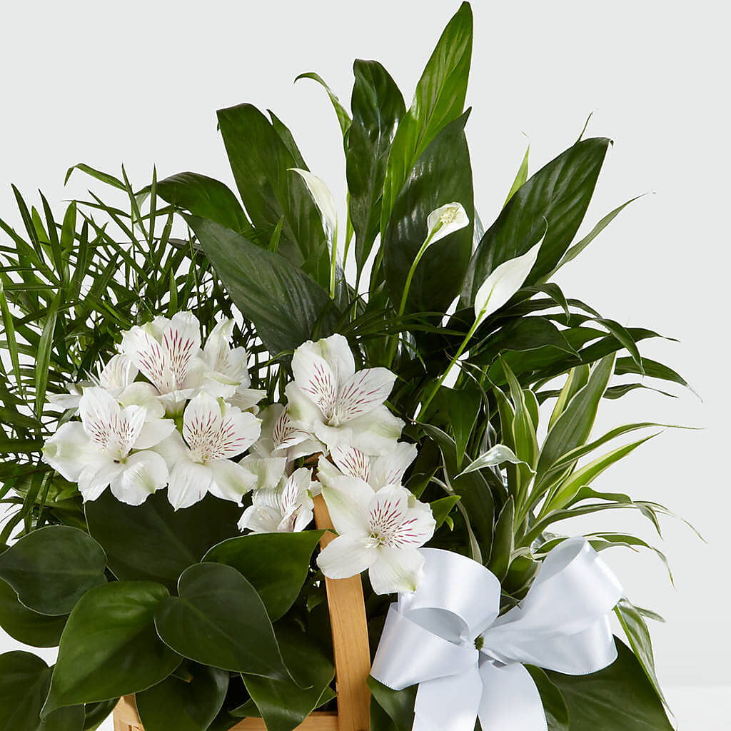 Peace & Serenity Dishgarden –  Charming Petals, Dracut MA