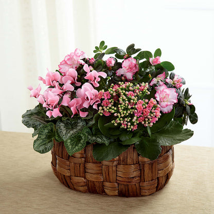 Pink Assortment –  Charming Petals, Dracut MA