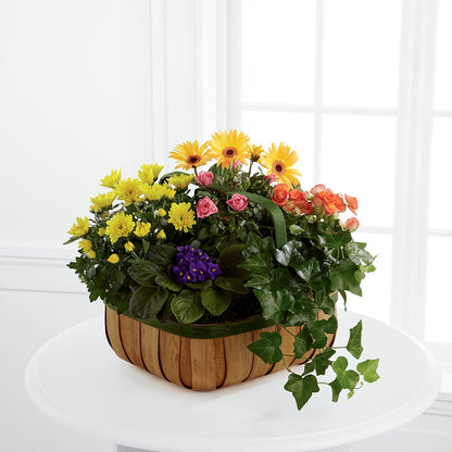 Gentle Blossoms Basket –  Charming Petals, Dracut MA
