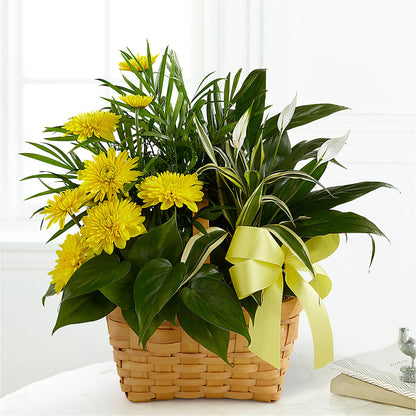Loving Light Dishgarden –  Charming Petals, Dracut MA