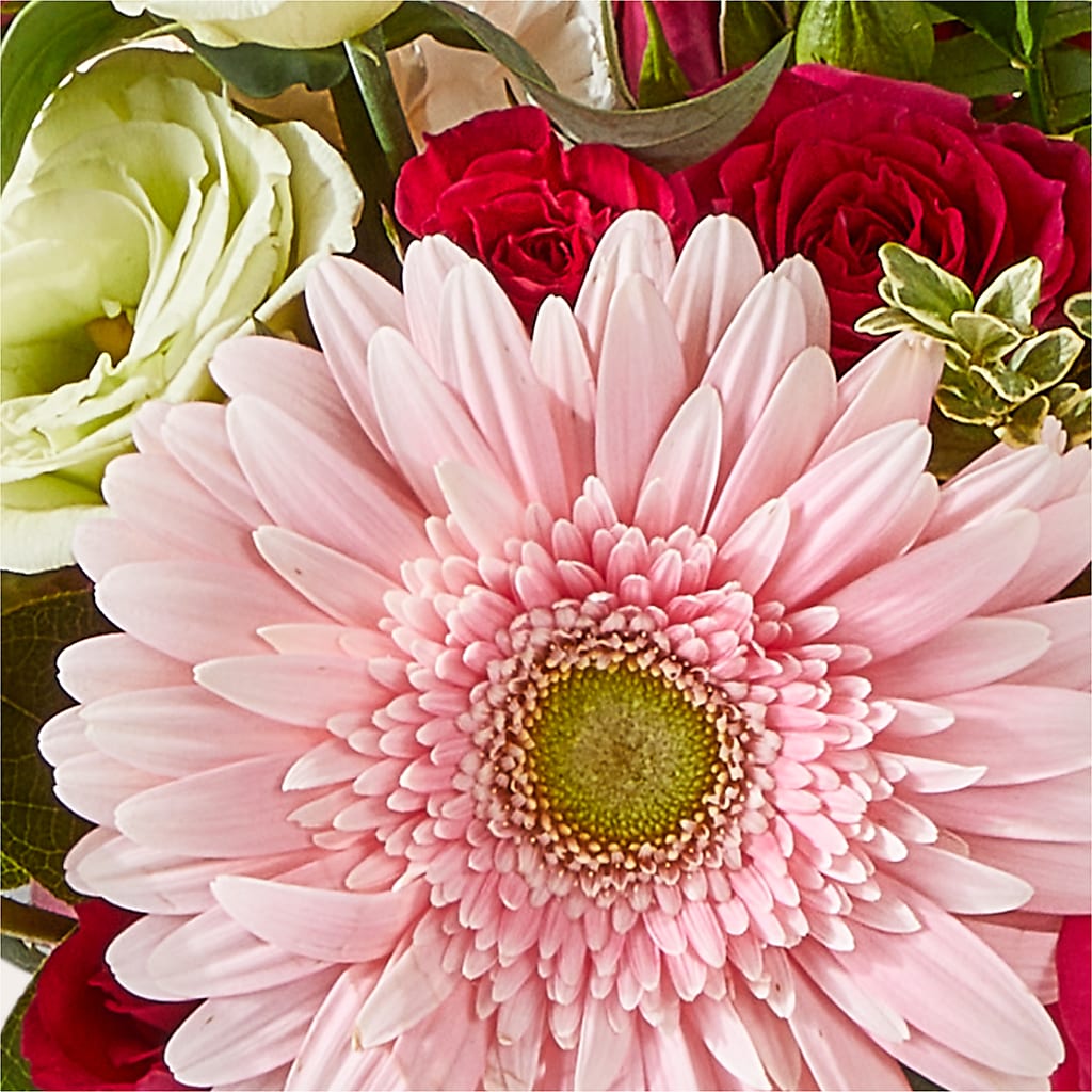 Too Cute Bouquet –  Charming Petals, Dracut MA
