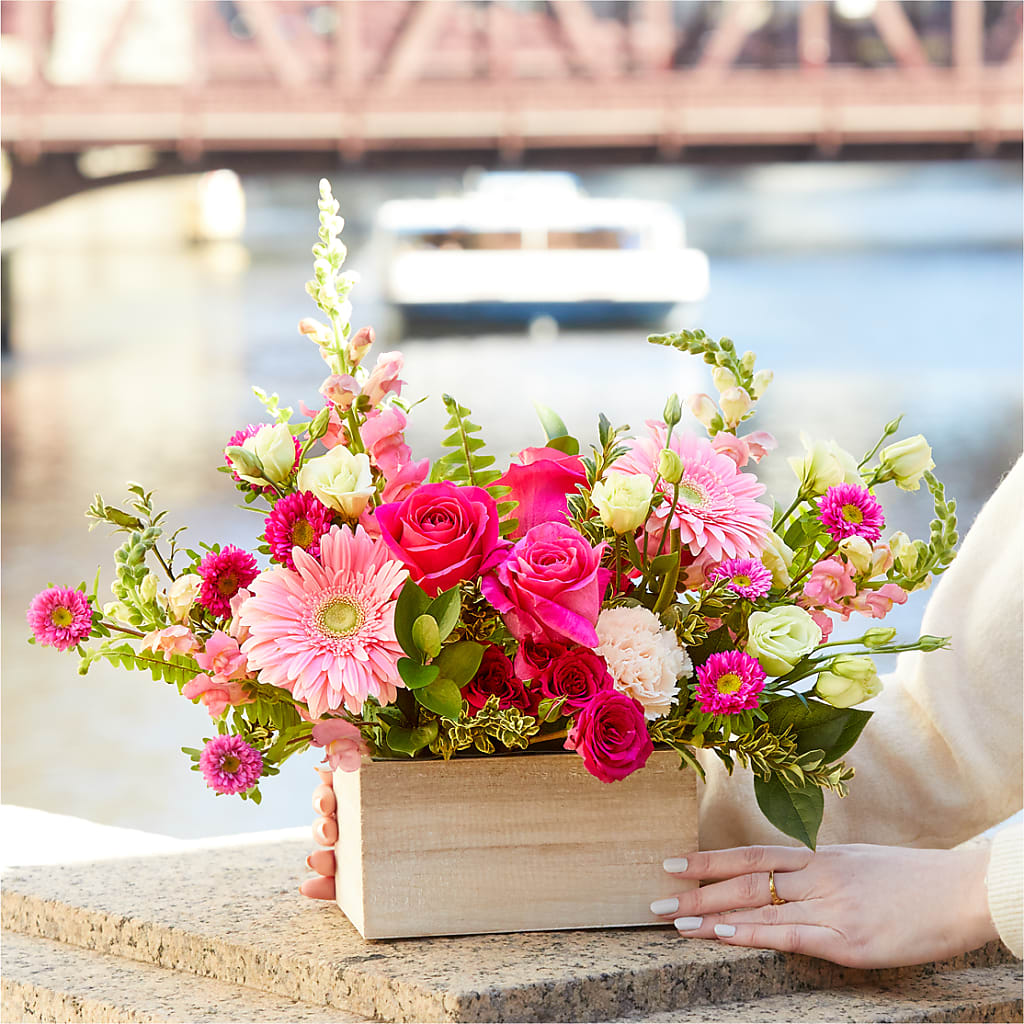 Too Cute Bouquet –  Charming Petals, Dracut MA