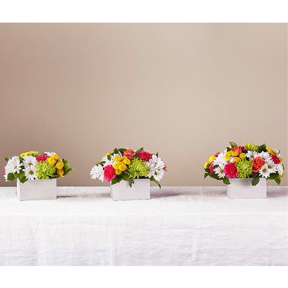 Sorbet Bouquet –  Charming Petals, Dracut MA