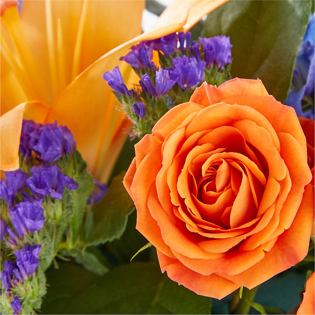 Radiant Citrus Box Bouquet –  Charming Petals, Dracut MA