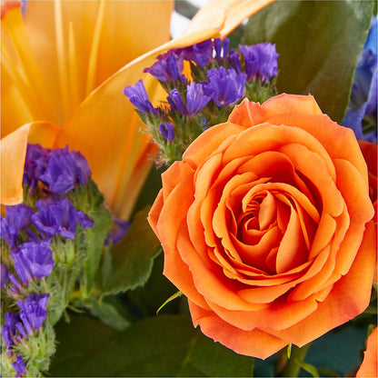 Radiant Citrus Box Bouquet –  Charming Petals, Dracut MA