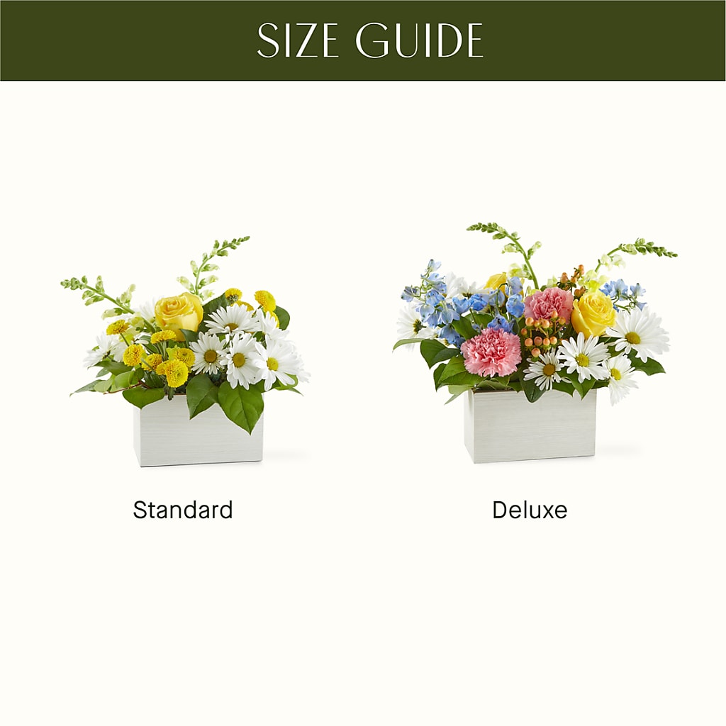 Sun Salutation Box Bouquet –  Charming Petals, Dracut MA
