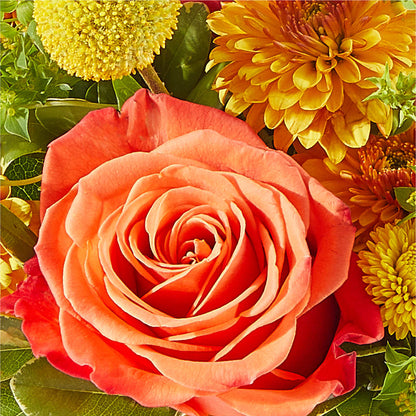 Gourdgeous Pumpkin –  Charming Petals, Dracut MA