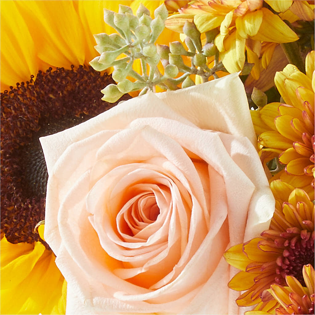 Pumpkin to Talk About Bouquet –  Charming Petals, Dracut MA