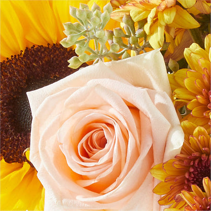 Pumpkin to Talk About Bouquet –  Charming Petals, Dracut MA