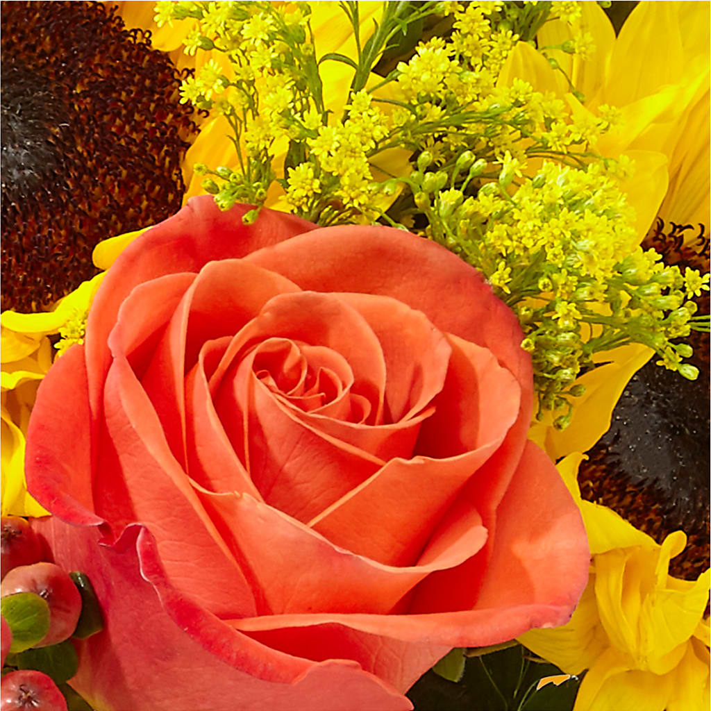 Pick of the Patch Pumpkin Bouquet –  Charming Petals, Dracut MA