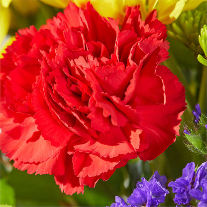 Brighter Days Bouquet –  Charming Petals, Dracut MA