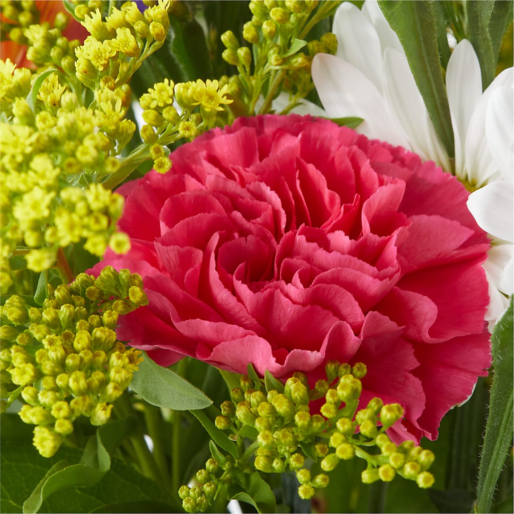 Oopsie Daisy Bouquet –  Charming Petals, Dracut MA