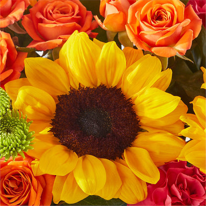 Sun-drenched Blooms Box Bouquet –  Charming Petals, Dracut MA