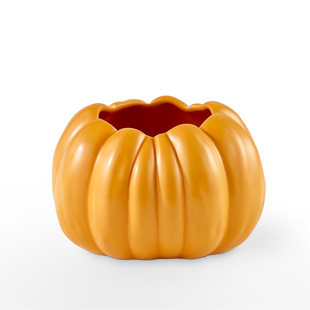 Pick of the Patch Pumpkin Bouquet –  Charming Petals, Dracut MA