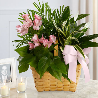 Living Spirit Dishgarden –  Charming Petals, Dracut MA
