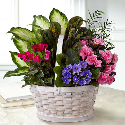 Peaceful Garden Planter –  Charming Petals, Dracut MA