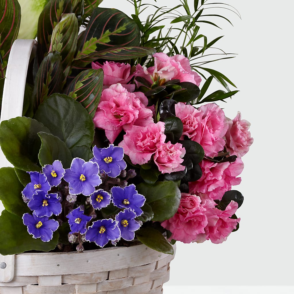 Peaceful Garden Planter –  Charming Petals, Dracut MA