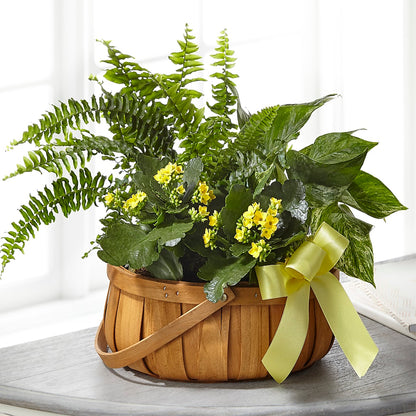Always Dear Dishgarden –  Charming Petals, Dracut MA
