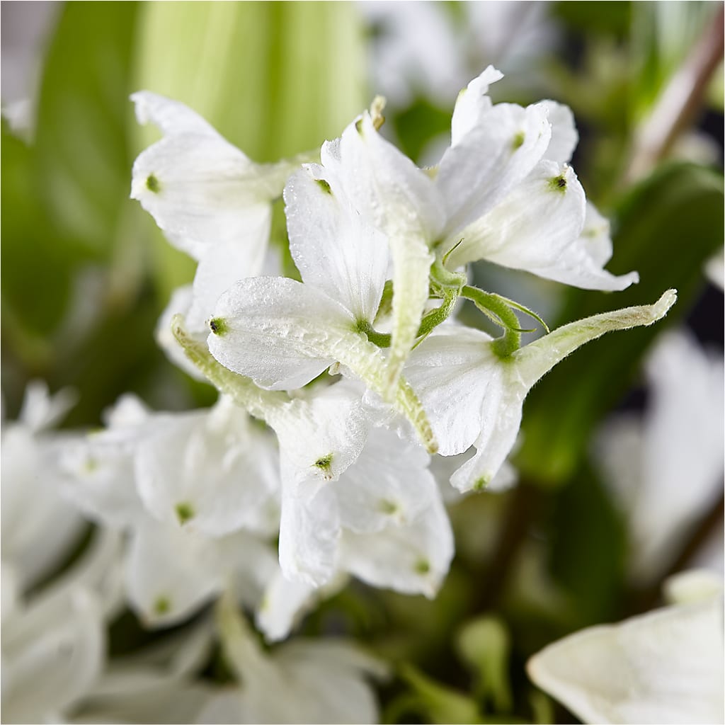 Classic Ivory – A Florist Original –  Charming Petals, Dracut MA