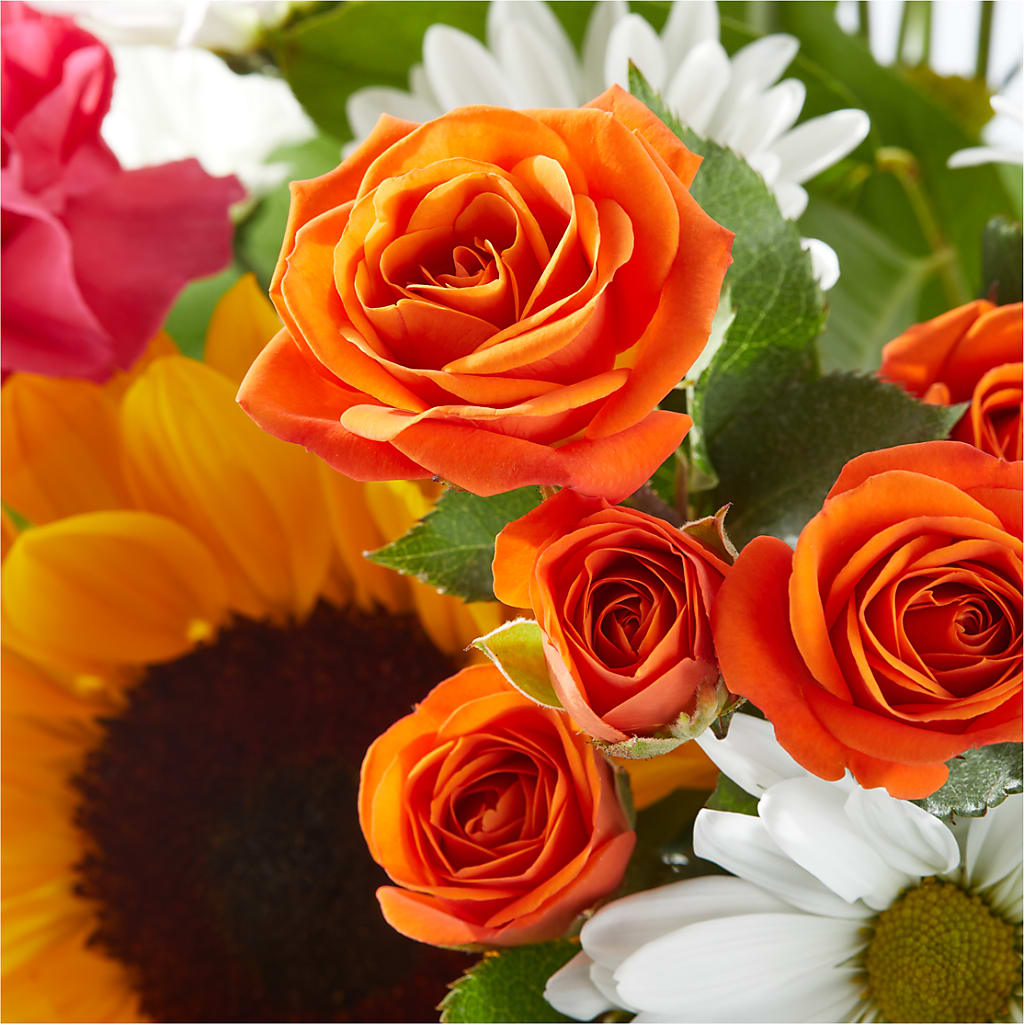 Sun-drenched Blooms Bouquet –  Charming Petals, Dracut MA