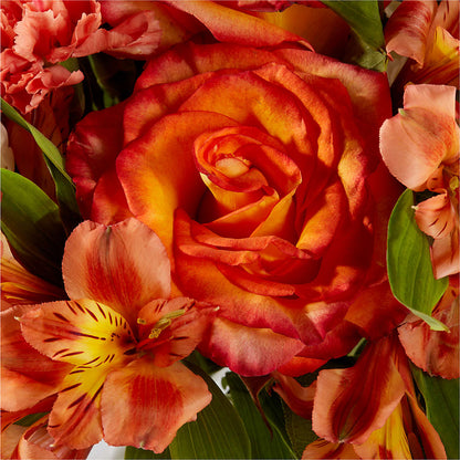 Apricot Glow Bouquet –  Charming Petals, Dracut MA