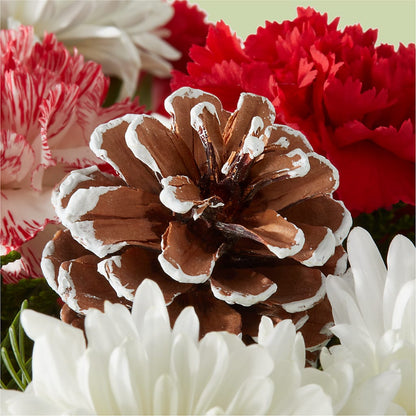 Candy Cane Lane Bouquet –  Charming Petals, Dracut MA
