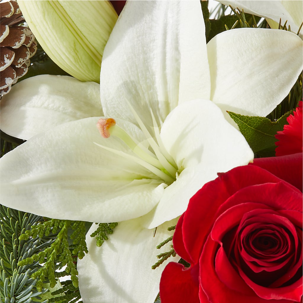 Oh So Jolly Bouquet –  Charming Petals, Dracut MA