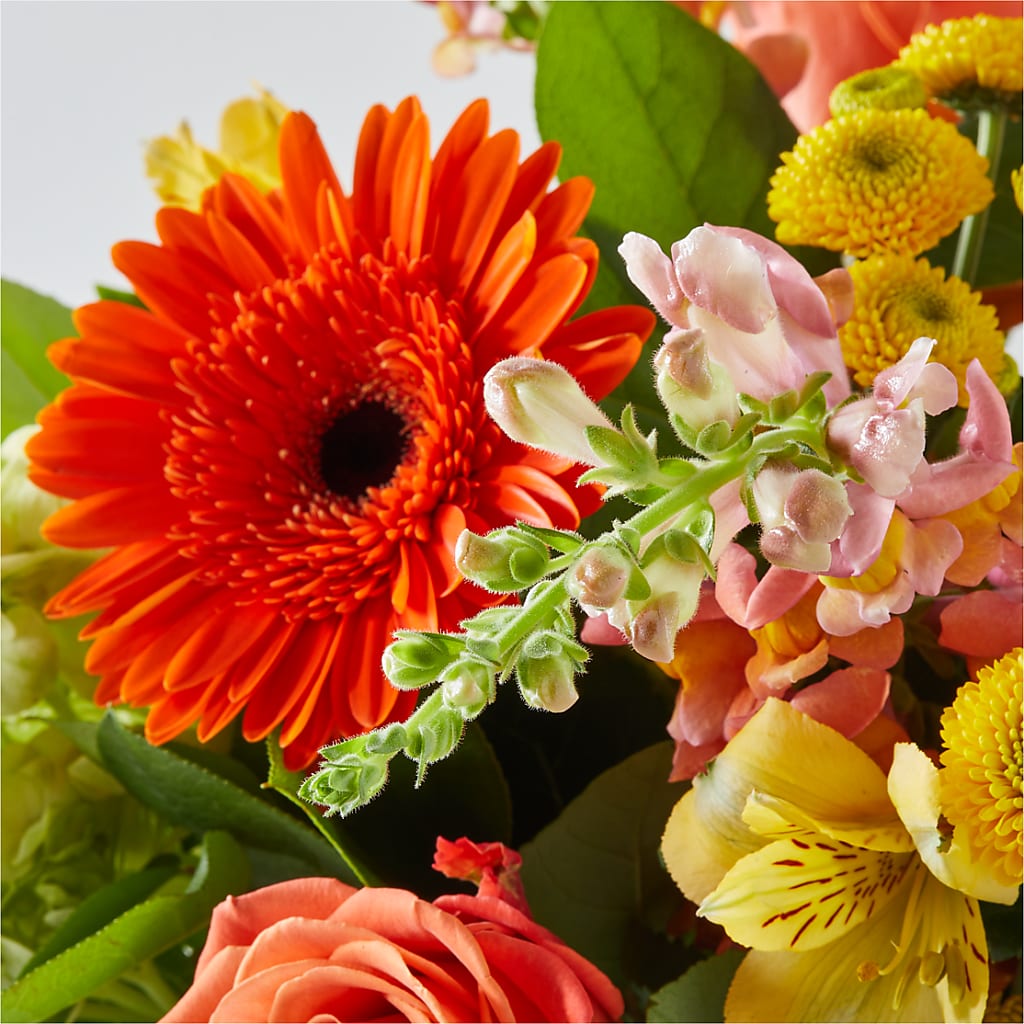 Autumn Sunshine Bouquet –  Charming Petals, Dracut MA