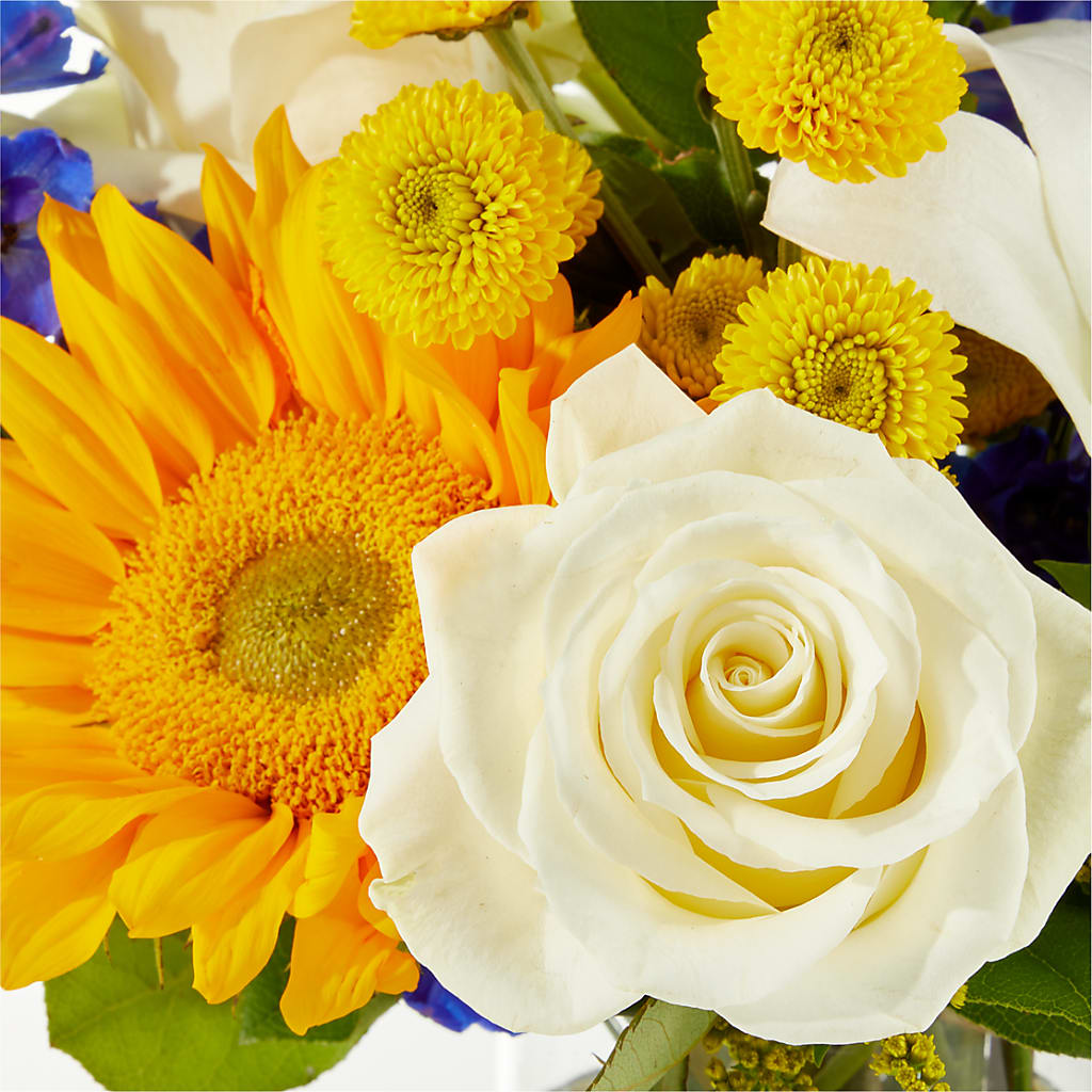 Stargazing Bouquet –  Charming Petals, Dracut MA