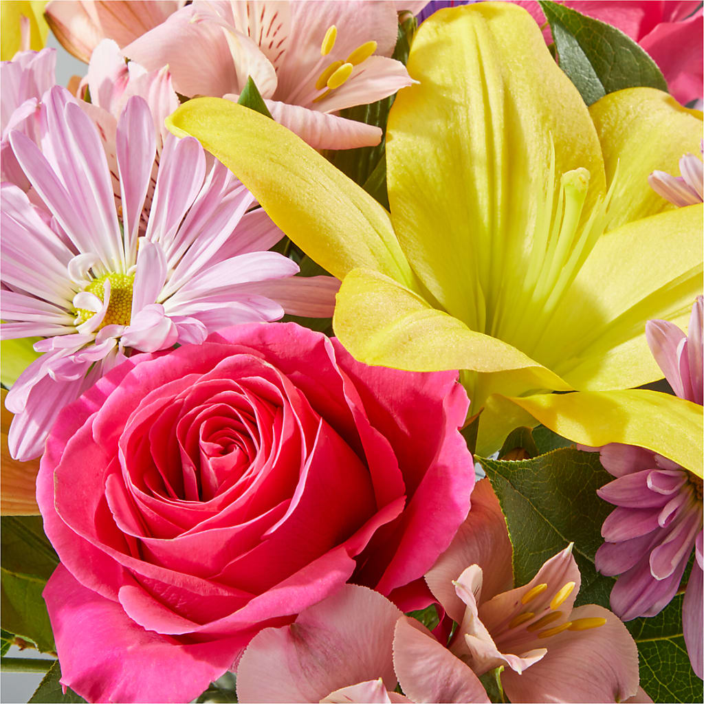 Sprinkles Bouquet –  Charming Petals, Dracut MA