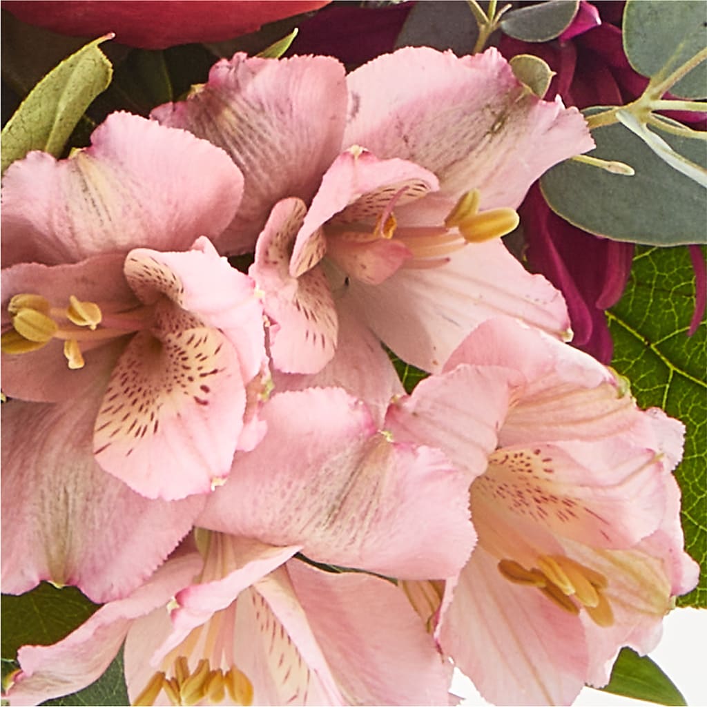 Berry Cobbler Bouquet –  Charming Petals, Dracut MA