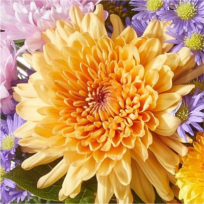 Countryside Bouquet –  Charming Petals, Dracut MA