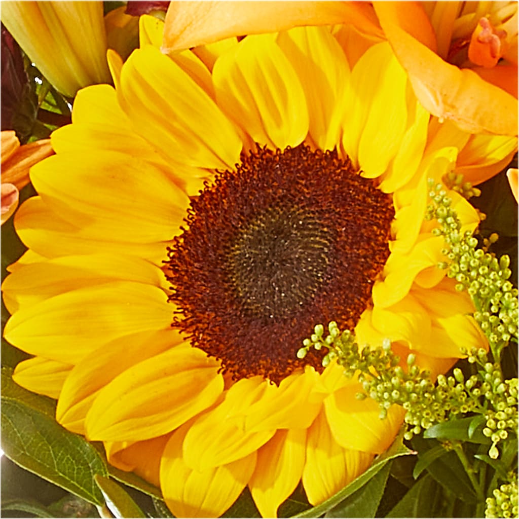 Seasons Change Bouquet –  Charming Petals, Dracut MA