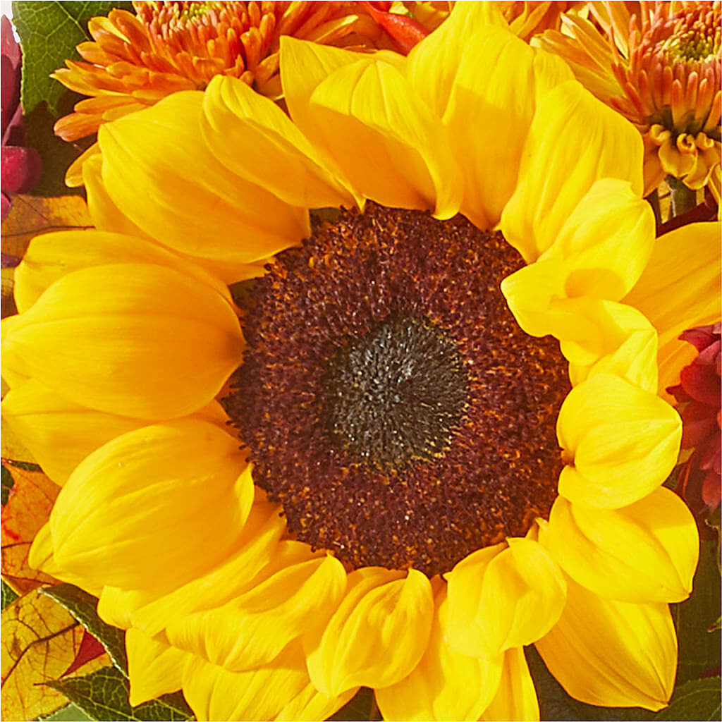 Sunny Side Bouquet –  Charming Petals, Dracut MA